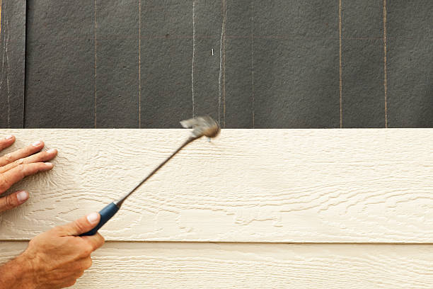 Best Stone Veneer Siding  in Colma, CA